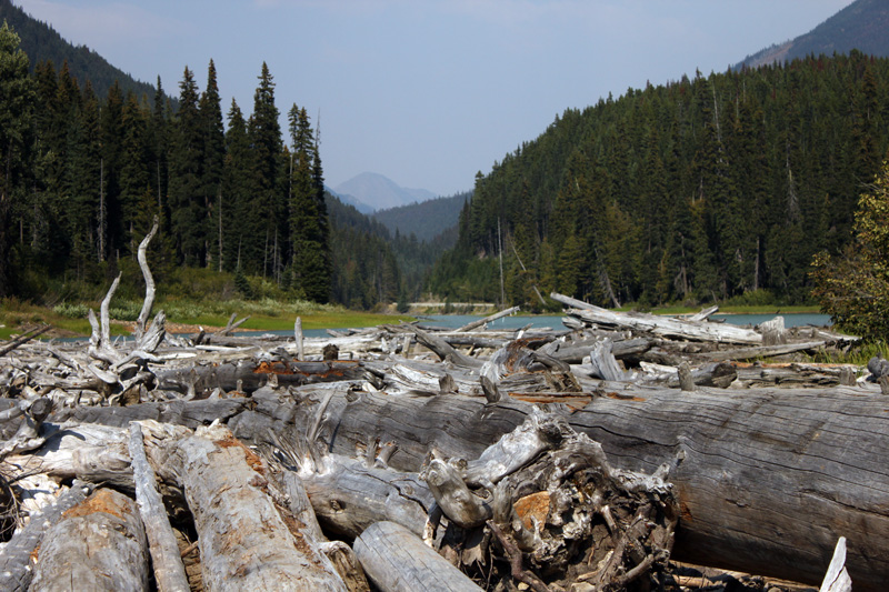Natural dam at Duffy Lake, BC